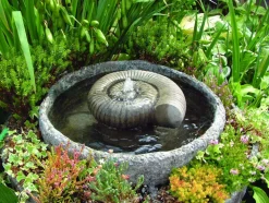 Ammonite Fossil Stone Garden Water Feature