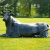 Angus Cow Life-Size Bronze Metal Garden Statue