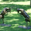 Battling Stags Life-Size 140cm Bronze Metal Garden Statues