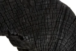 Carbon Halo 53cm Black Wood Indoor Sculpture