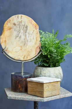 Forest Fusion 38cm Wood Indoor Sculpture