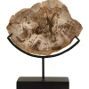 Forest Fusion 50cm Wood Indoor Sculpture