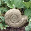Grand Ammonite Fossil Stone Garden Water Feature