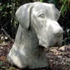 Great Dane Head Bust Stone Garden Ornament