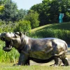 Happy Hippo Bronze Metal Garden Statue