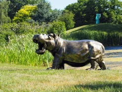 Happy Hippo Bronze Metal Garden Statue