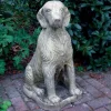 Irish Setter Stone Garden Statue