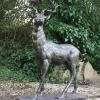 Large Deer Right Facing Stag Bronze Metal Garden Statue