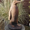 Monty the Penguin Stone Garden Ornament (Rust)