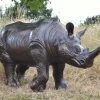 Rhino Bronze Metal Garden Statue
