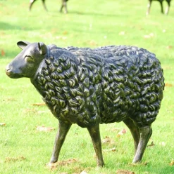 Sheep Life-Size Bronze Metal Garden Statue