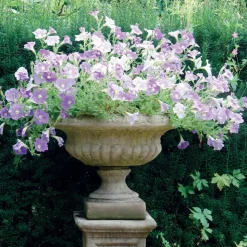 Victorian Medium Stone Garden Planter on Pedestal