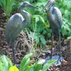 Wild Cranes Aged Bronze Garden Ornaments