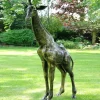 Wild Giraffe 205cm Bronze Metal Garden Statue