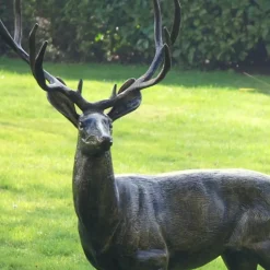 Wild Stag & Doe Life-Size Bronze Garden Statues